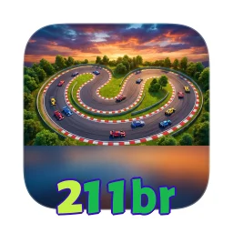 211br